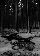 2025-02-11/aa065bd5-1be8-4aea-9c99-648be9b57b35