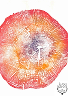 2025-02-11/f768a194-96ac-48e6-84cf-411bb5ad3a16