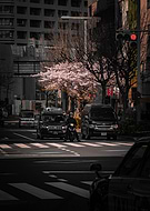 2025-02-12/09995c07-55e8-479d-b22f-a6b536e6ad58