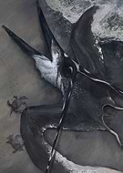 2025-02-12/b1956b64-936e-480f-9734-ae664eb11539