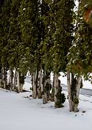 2025-02-16/2e87fd30-8f82-4fbc-96ea-672140a44732