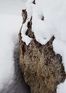 2025-02-16/753e15be-e863-4fc9-91d8-5b502fdd78b8