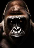 2025-02-18/a2fa75e9-596e-46c3-a05c-0fa3a4f8fd30