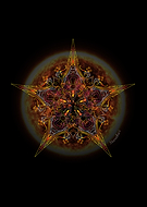 2025-02-19/e022a84b-f154-4d7c-9c4a-e5954b15ade9