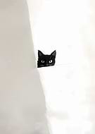 2025-02-20/922636ca-ed45-4d0b-9243-dfee85e46ecd