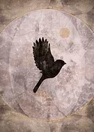 2025-02-20/d25226b1-f4a6-496b-a968-e1b5b5bc09af