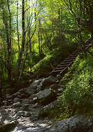 2025-02-22/0aeff0e2-1106-459c-a7ad-36f5c25d08d2