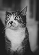 2025-02-23/171cfb63-6191-4ef6-9bfc-d3de964d2e82