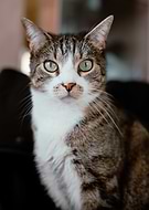 2025-02-23/35b35b0a-22cb-467b-aac3-e78f29f7bff4