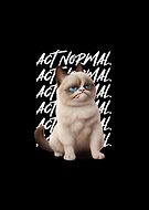 2025-02-24/f4007aeb-c030-45f2-85c3-879920c35db8