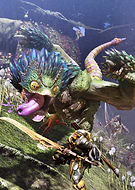 collection-preview-3