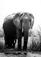 2025-03-01/1e557622-1e60-4a5d-b3ee-0d1a1cbf04a9