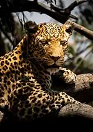 2025-03-01/5dc11420-2eac-4439-a556-51245eb4ed29