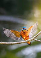 2025-03-02/199f82bd-0912-40ae-918f-65bc83d4f607