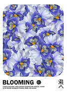 2025-03-04/fc6fe538-42d0-4908-b140-76f24f755f7a