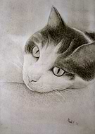 2025-03-06/437bc877-f6c8-4e84-a395-aa9b60ffc7d4