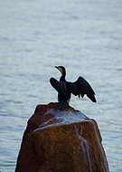 2025-03-07/03bac06d-a6f2-4545-ada4-0b39a6646ffe