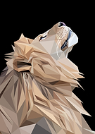 2025-03-09/7520be35-04d8-4d8d-85bb-d1327d0a5c2e