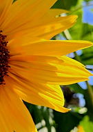 2025-03-12/66e6527f-f1ec-4b6e-9232-7e23eb5b9f54