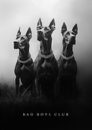 2025-03-12/c2d55834-e830-4263-92d5-3097a88fc9de