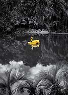 2025-03-13/b2883903-56bb-431c-9db8-a396ed5085d8