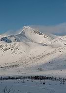 2025-03-15/f56f776c-3e07-4e3d-bdc3-1b0a2c945b51