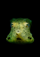 2025-03-16/6482cebc-9d2e-49b3-9376-9fe9f8b37204