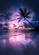 2025-03-17/7b6ed798-6209-47cb-9909-1f58404333ef