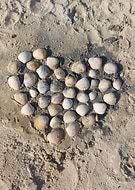 2025-03-17/fc7480bc-93e8-44e2-af1f-e910499be10d