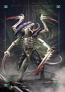 collection-preview-1