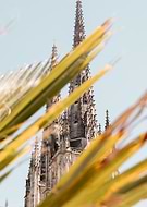 2025-03-19/f1c94388-62b8-4ebb-8864-47239d362fba