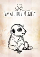 2025-03-20/022d9e82-87af-4dbd-80cb-0cc9f3a2add1