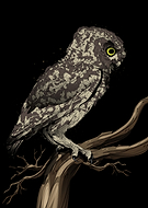 2025-03-20/9aba658d-4910-4be8-bd18-414132e75616