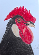 2025-03-21/57bc764b-bd88-4ce0-98e2-6661fe40059b