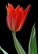 2025-03-22/164f2de4-a599-40de-824f-87dfd2f59b8b