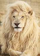 2025-03-22/c22f1f80-e178-475a-b1bf-55cdd467509c