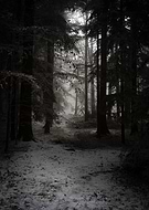 2025-03-27/bc2a1cc7-e368-4964-9f0d-9036c9c98868