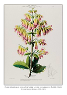 2025-03-31/8de87aeb-c77b-4b5a-8a7c-d2db3920b402