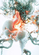 2025-04-02/feff65d3-0056-4a12-a27e-5cfc1ca5c889