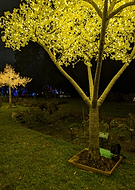 2025-04-03/339c3391-8293-482a-9412-7dfce51a6b37