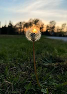 2025-04-07/72b3fdce-288e-459c-ac7b-db654177970b