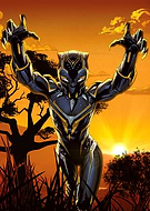 collection-preview-0