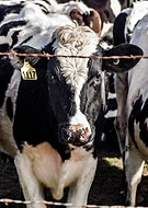 2025-04-09/80b112b9-9149-4d4f-9bd6-02f5de17a224