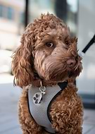 2025-04-11/7e69b8ec-8fac-4b4f-a690-8402167ff767