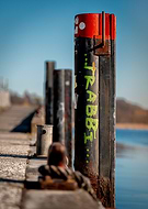 2025-04-16/cd799656-573f-41c7-a096-4e085fb453d9