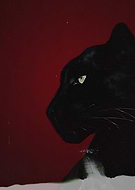 2025-04-20/d1664a46-7ea5-454e-a588-0d4109b06811