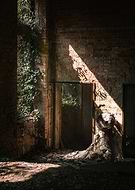 2025-04-21/7d20be06-1868-4634-aff0-81c2a4fc4a58