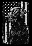 2025-04-21/82c9410c-8c7d-446f-8c85-f9a6ff704b1b