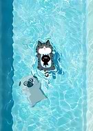 2025-04-21/cf5baeb2-085b-4559-b957-ce6c6093ae5c