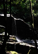 2025-04-23/fed97252-bc0f-4e30-a373-57504f3769c8